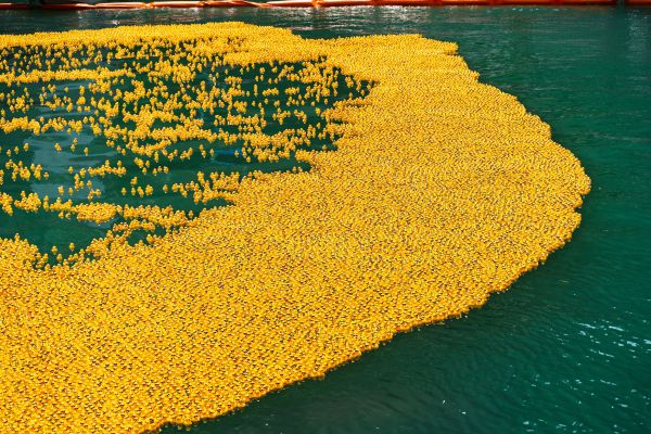 Le Chicago Ducky Derby revient le 6 ao&ucirc;t pour sa 21e &eacute;dition